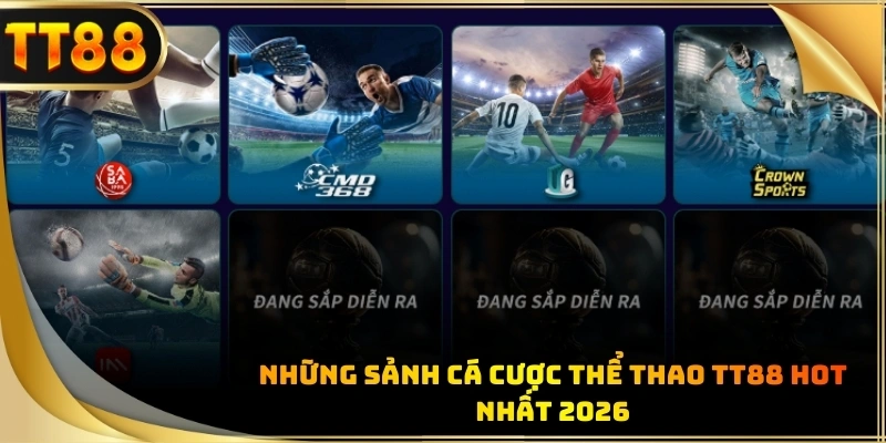 Hệ thống kết nối các nền tảng phát hành kèo cược uy tín hàng đầu hiện nay